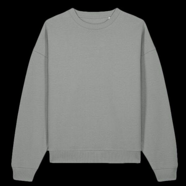 Radder 2.0 (STSU208) Thumbnail