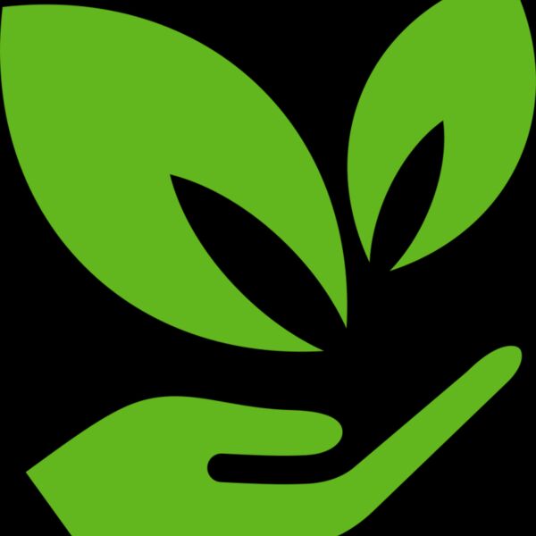 51 Leaves in hands Thumbnail