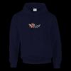 DryBlend® adult hooded sweatshirt Thumbnail