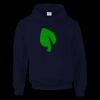 DryBlend® adult hooded sweatshirt Thumbnail