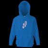 Kids premium hooded sweatshirt Thumbnail