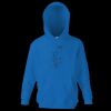 Kids premium hooded sweatshirt Thumbnail