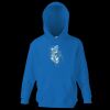 Kids premium hooded sweatshirt Thumbnail