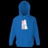 Kids premium hooded sweatshirt Thumbnail