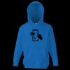 Kids premium hooded sweatshirt Thumbnail
